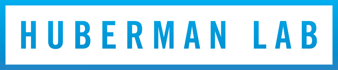 Huberman Lab